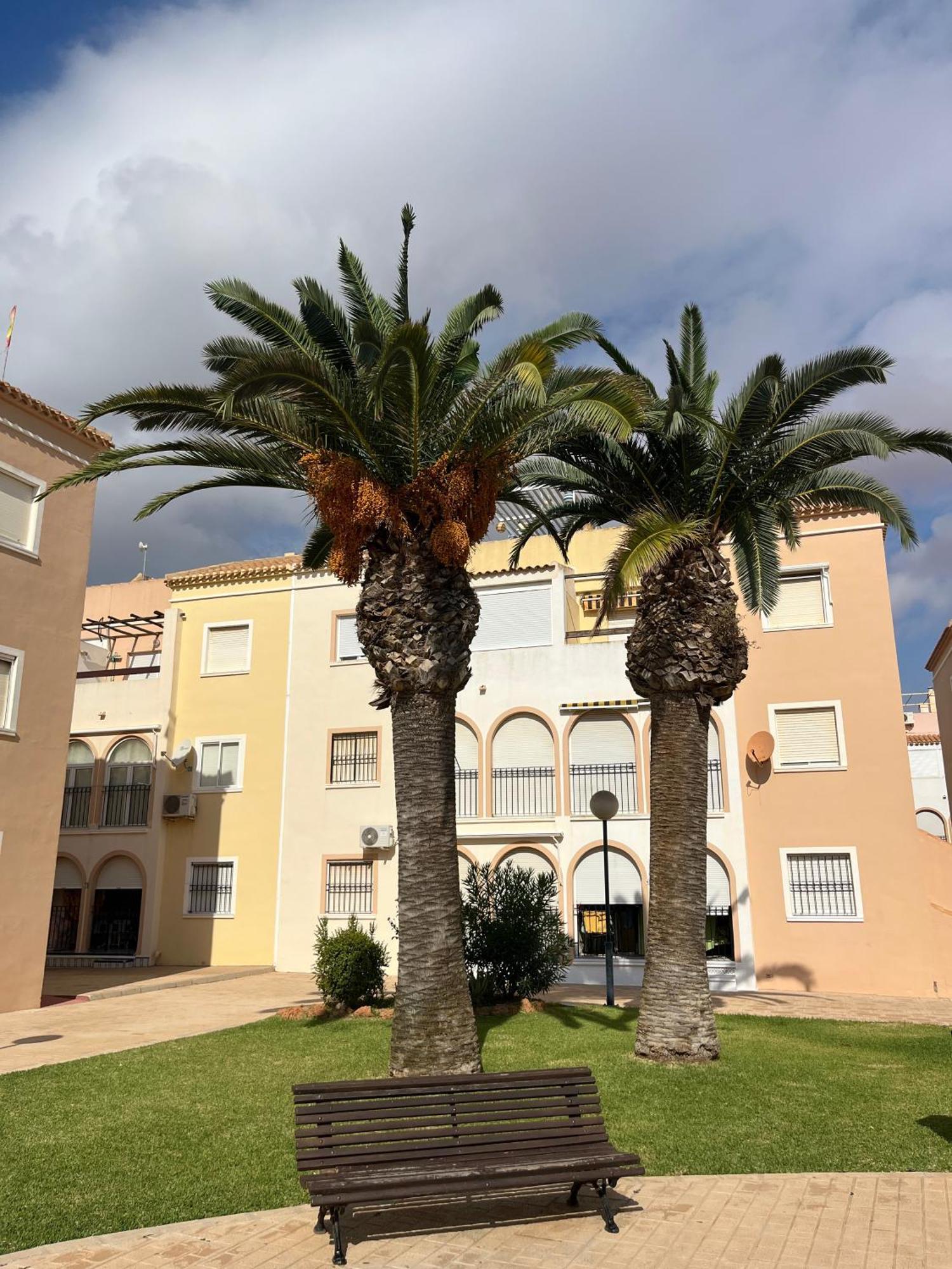 Torrevieja 2 Bedrooms Appartment Exteriör bild