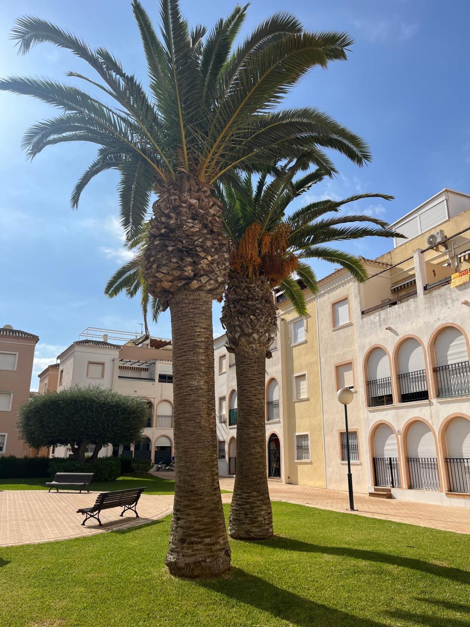 Torrevieja 2 Bedrooms Appartment Exteriör bild